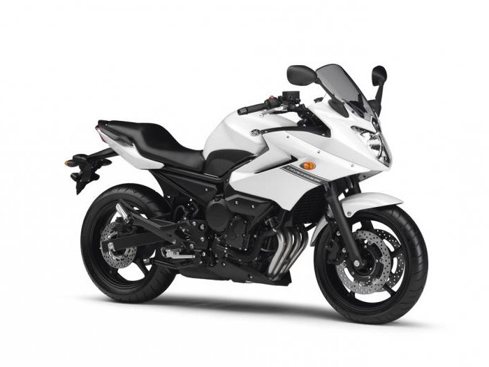 Εκτροπή Yamaha 600 2009