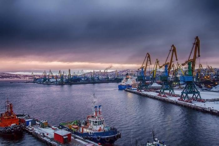 Murmansk Commercial Sea Port: ιστορία, περιγραφή, φωτογραφία