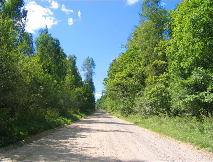 μανιτάρια στην περιοχή Tula