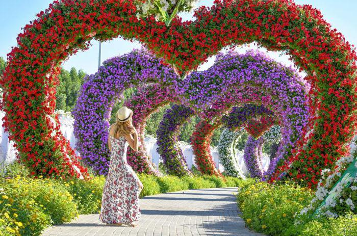 Dubai Miracle Garden: Περιγραφή