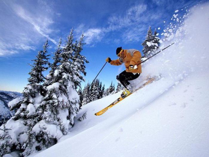 Ski Resort Tsey, κριτικές