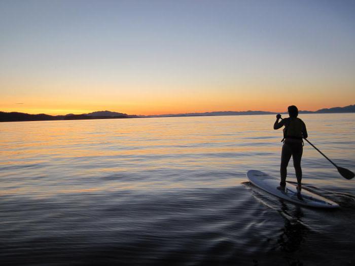 sur surfing 