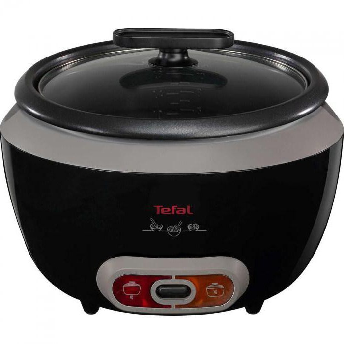 Multivark Tefal: μια γενική επισκόπηση της τεχνολογίας