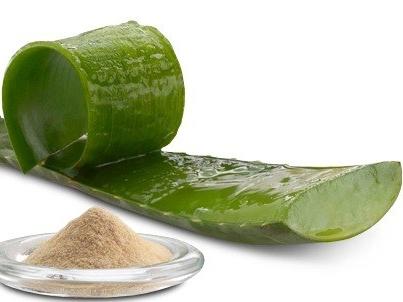 aloe vera χρήσιμες ιδιότητες